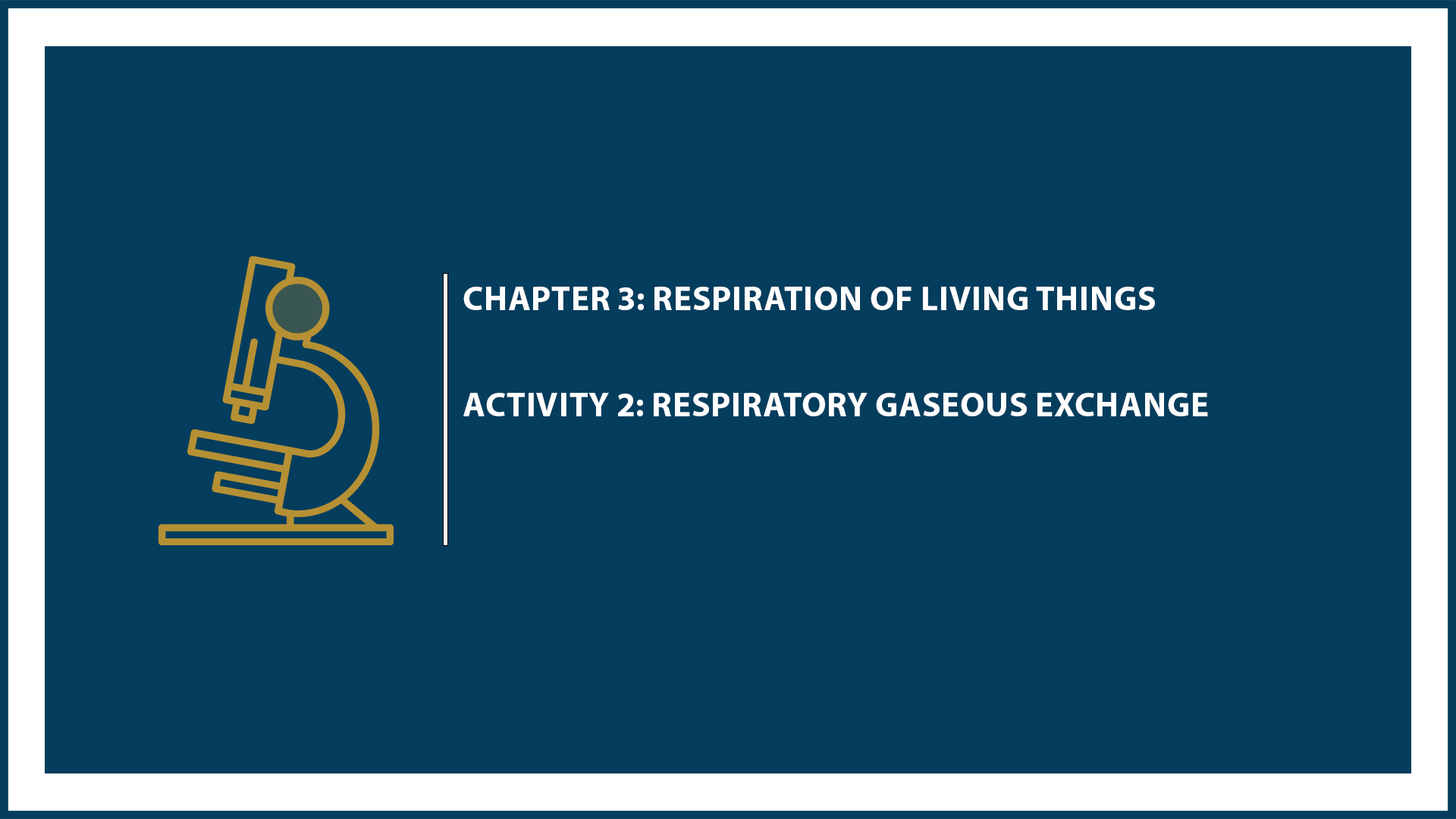 Chapter 3: Activity 2: Respiratory Gaseous Exchange